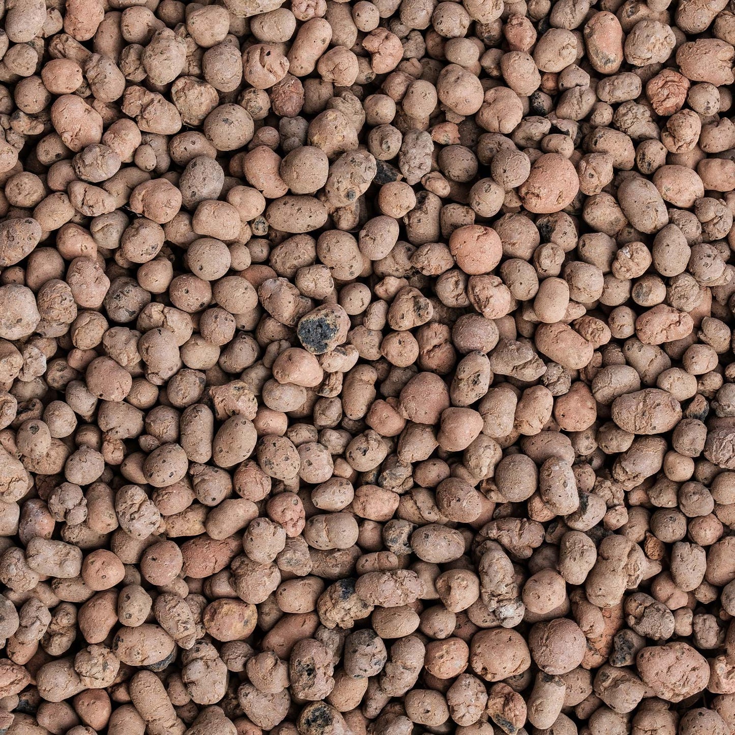 Pack 15 L 3 x Argile expansée Planeta Huerto 5 Litres