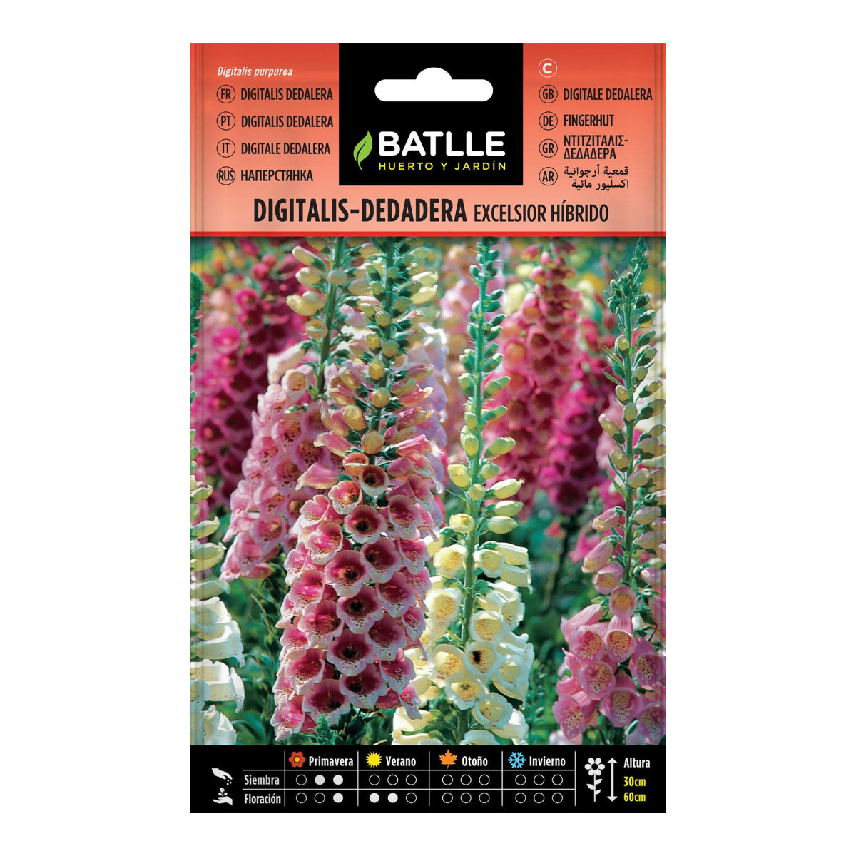 Samen von Digitalis Dedalera excelsior Hybrid Batlle