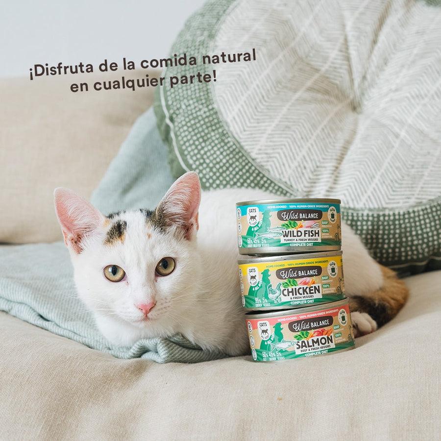 Pack of BARF chicken cans for cats 6 x 120 g Wild Balance