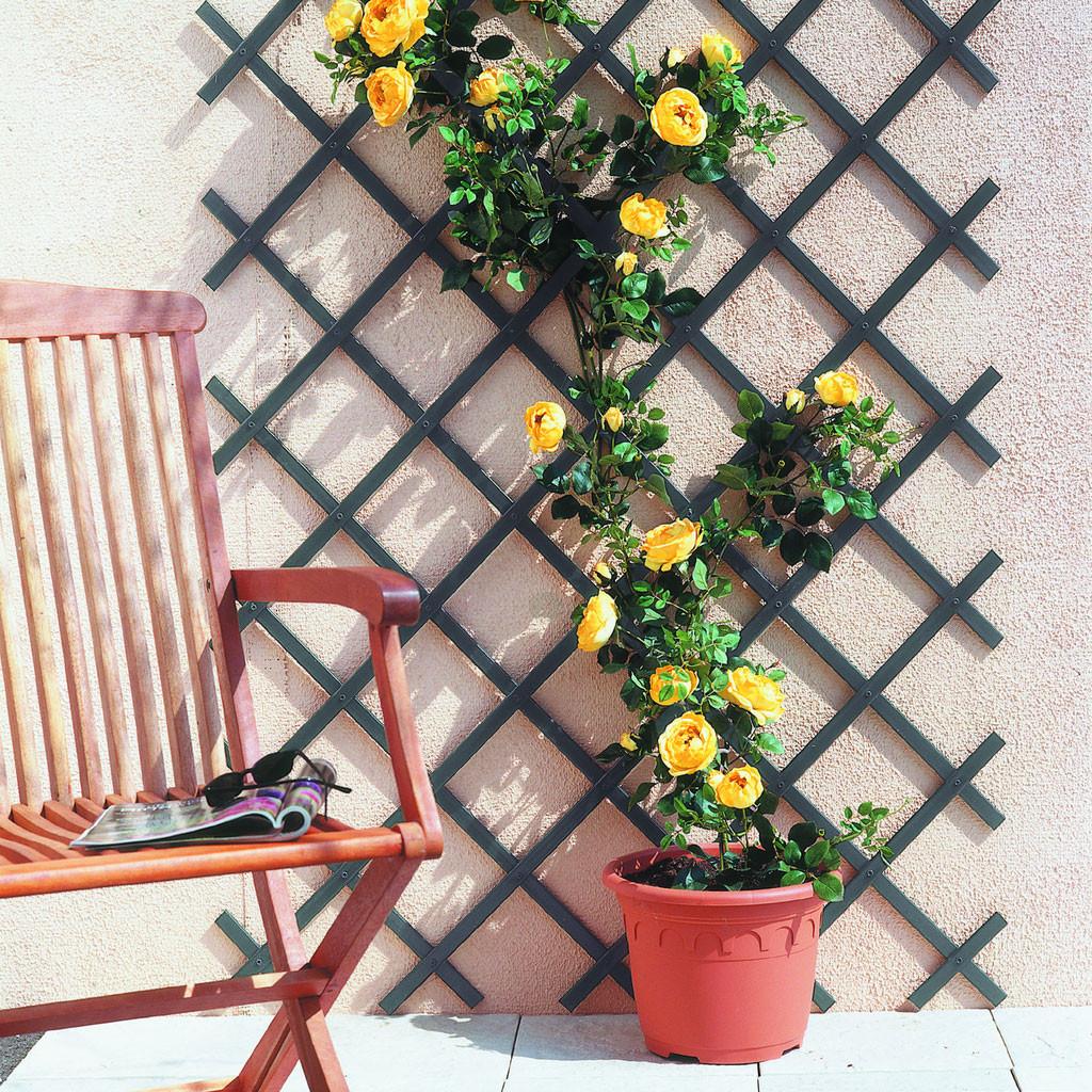 Uitrekbare PVC-celosia 0,5x1,5 m groen Trelliflex Nortene