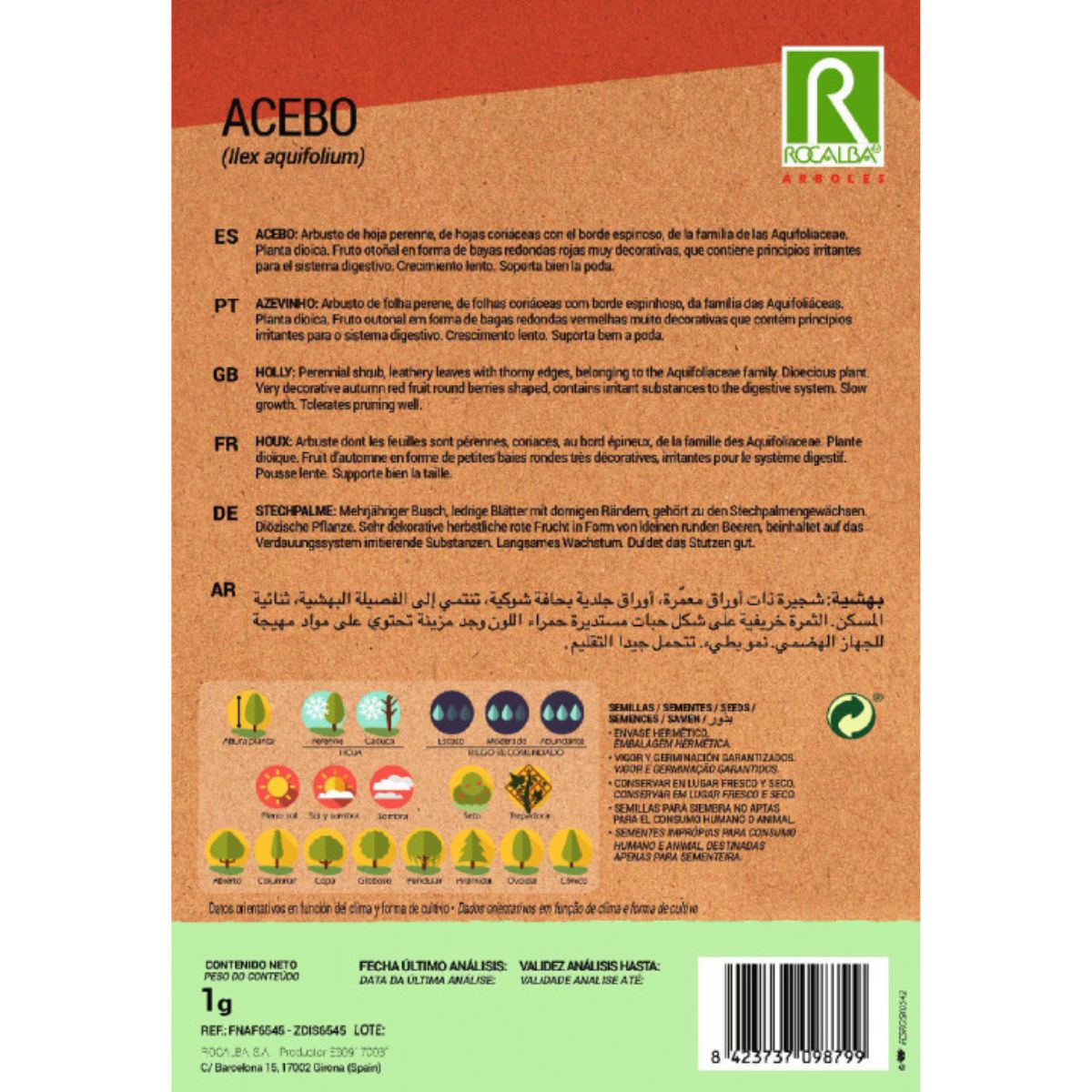 Järnekfrön Ilex aquifolium