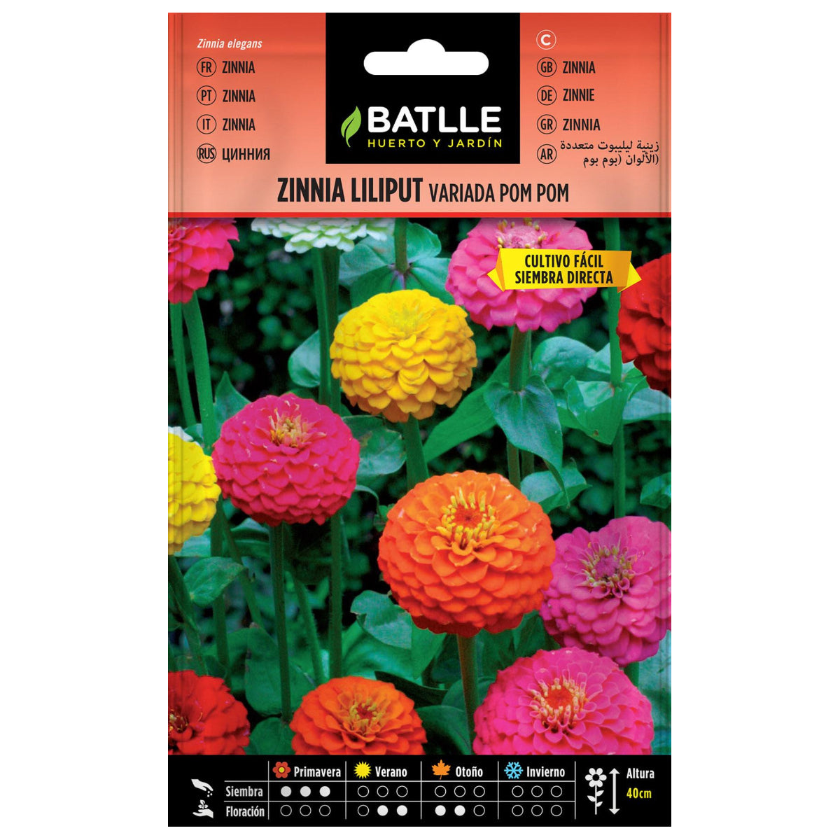 Assorted Liliput Zinnia Seeds Pom Pom Batlle