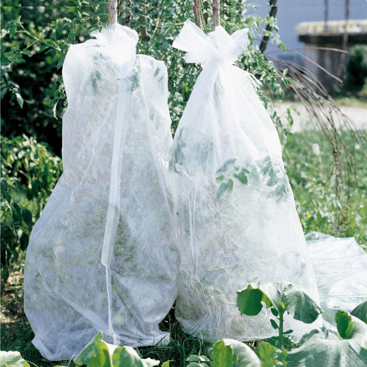 Vormloze vorstbeschermingsdoek Verdemax 0,8 x 10 m