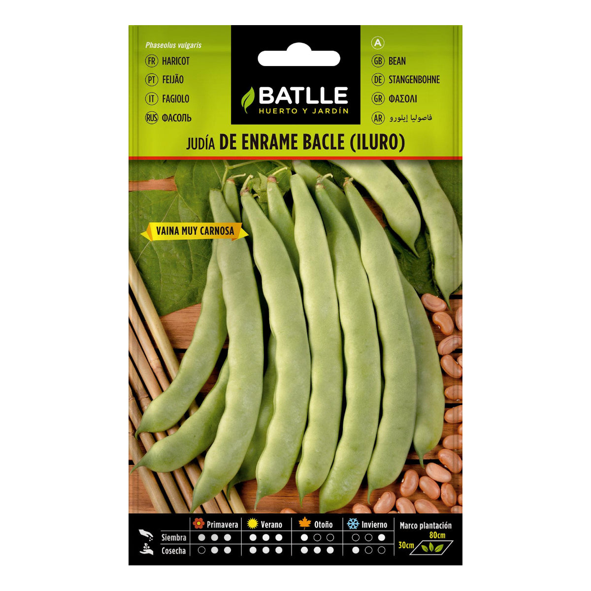 Iluro Bean Seeds 100 g