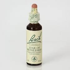 Bach 29 Star Of Bethlehem 20 ml (Ster van Bethlehem Bach