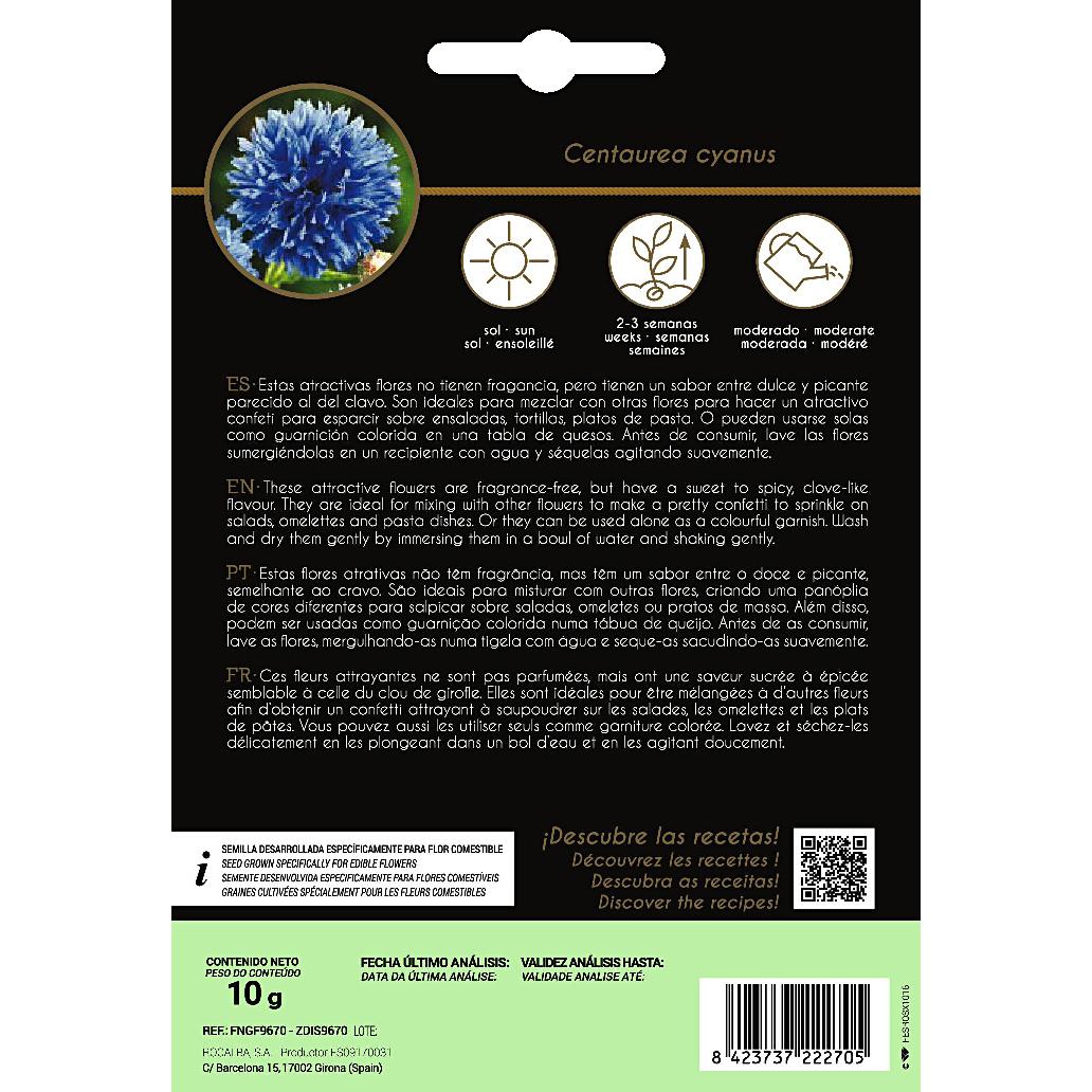 Centaurea Rocalba edible flower seeds