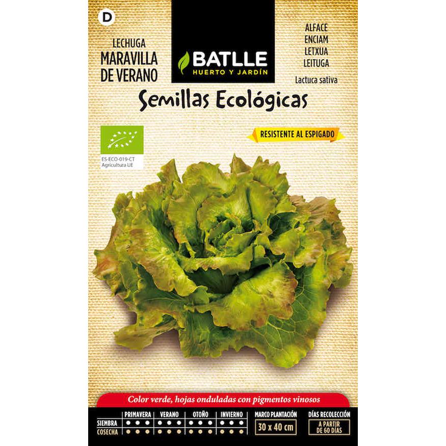Biologische zaden van zomerse sla