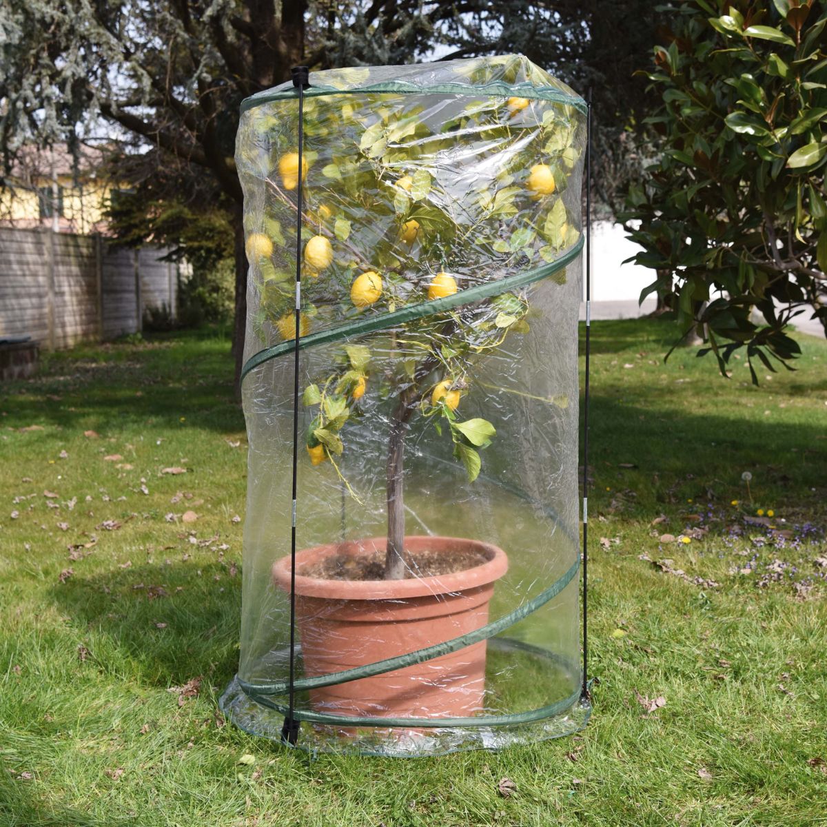 Verdemax Pop-Up Greenhouse ø 70 x 110 cm