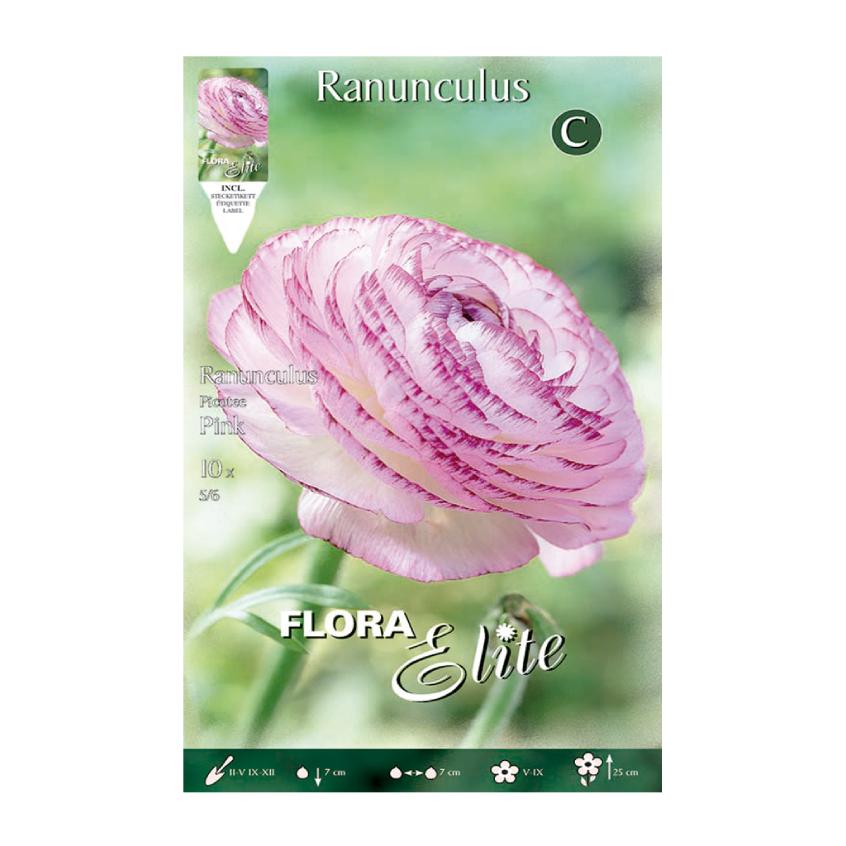 Roze ranonkelbollen 10 stuks