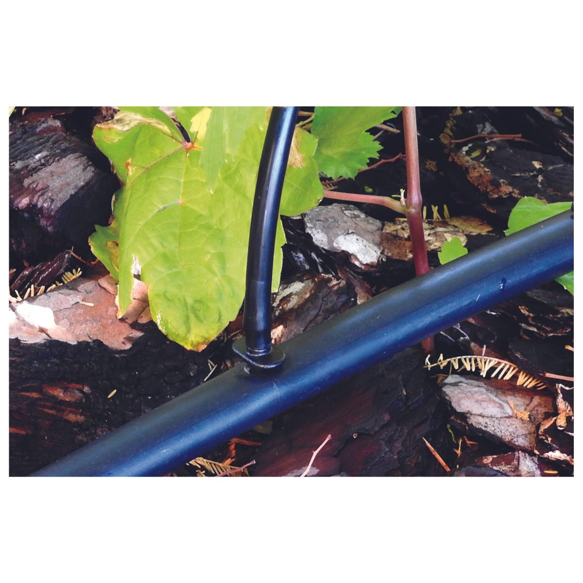 Raccord pour microtubes 4 mm Planeta Huerto 10 unités
