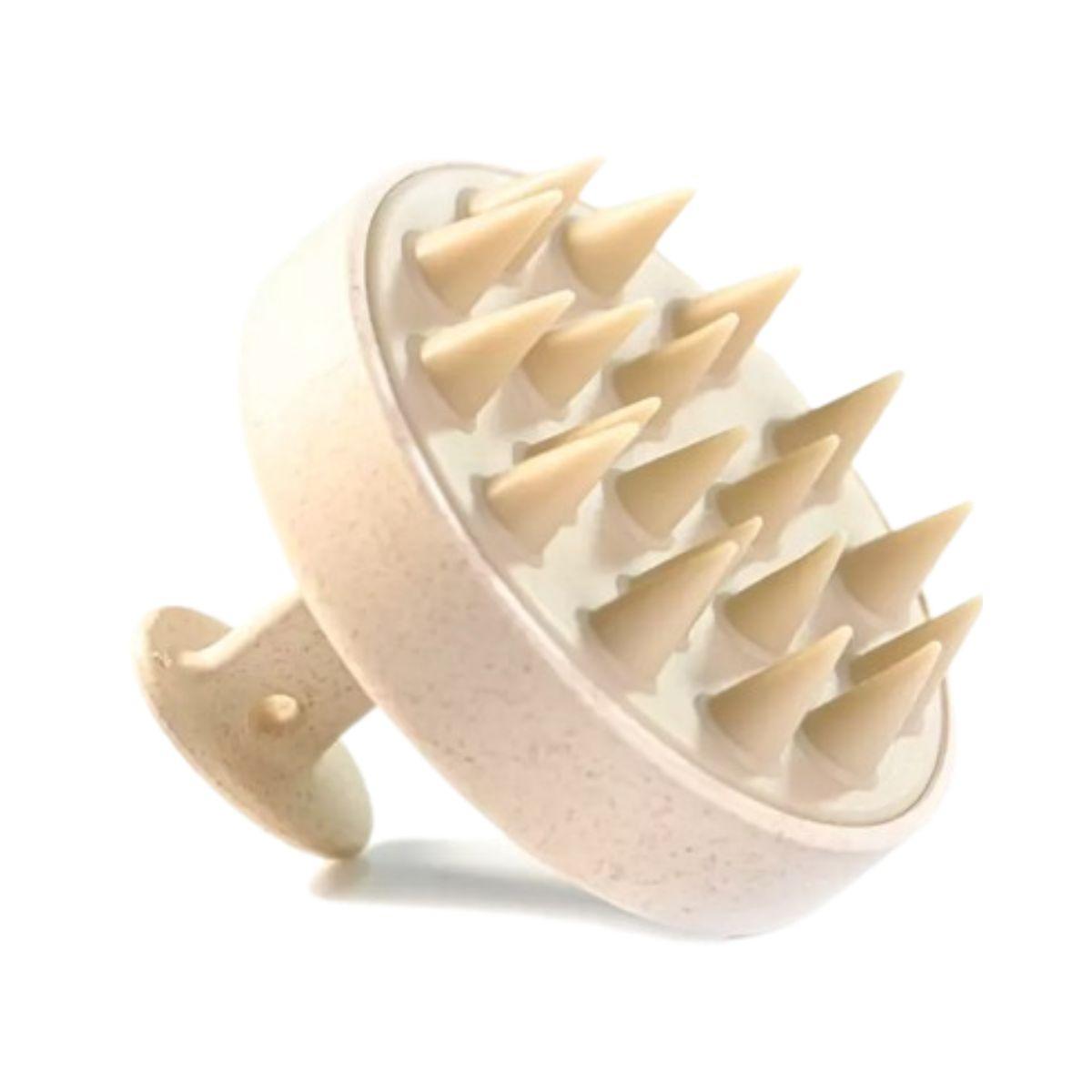 Hårbottenmassager. Camassia