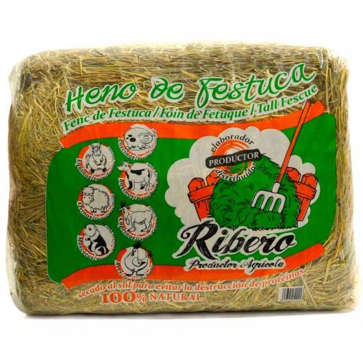 Fescue Hay for Rabbits and Rodents 5 kg