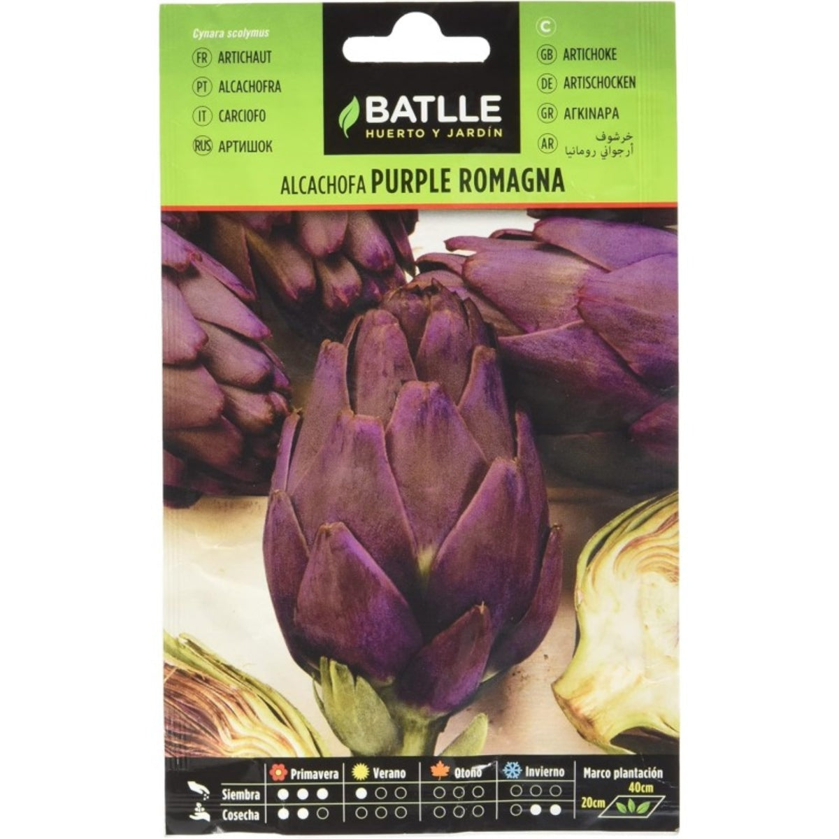 Artischockensamen Purple Romagna Batlle