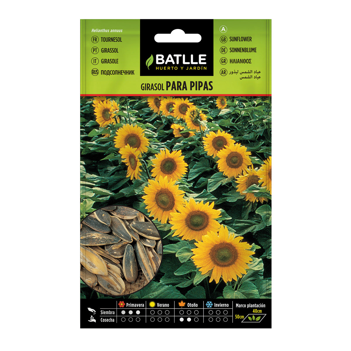 Sonnenblumenkerne zum Knabbern Batlle