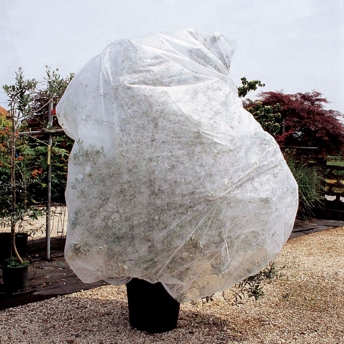 Pokrowiec przeciwmrozowy Verdemax 2 szt. 1,5 x 3,6 m