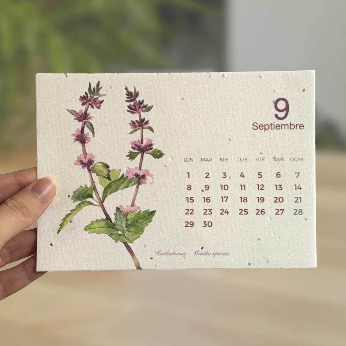Plantbare kalender 2025 Planet Orchard Zet tijd om in natuur