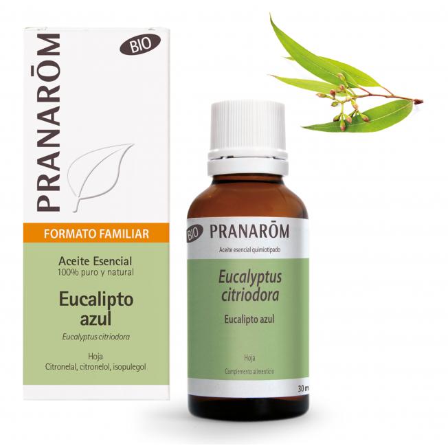 Olio essenziale di eucalipto blu foglia biologico Pranarom 30 ml