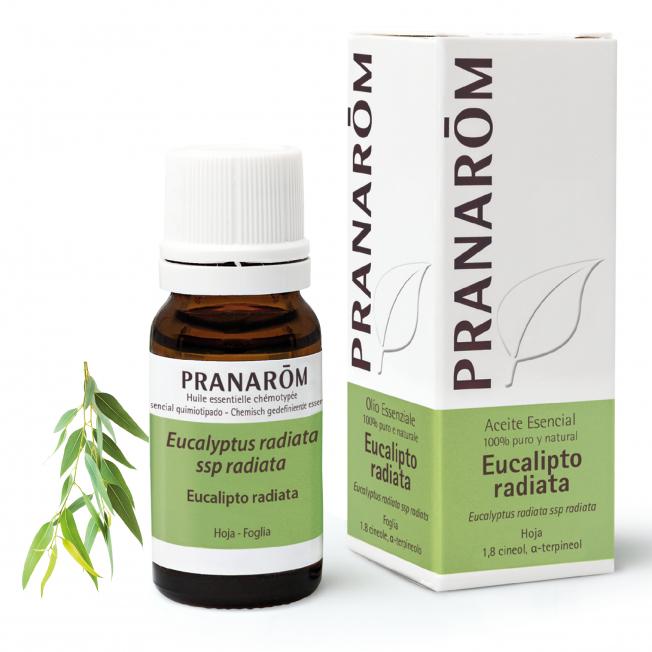 Huile essentielle d'eucalyptus radiata BIO Pranarôm 10 ml