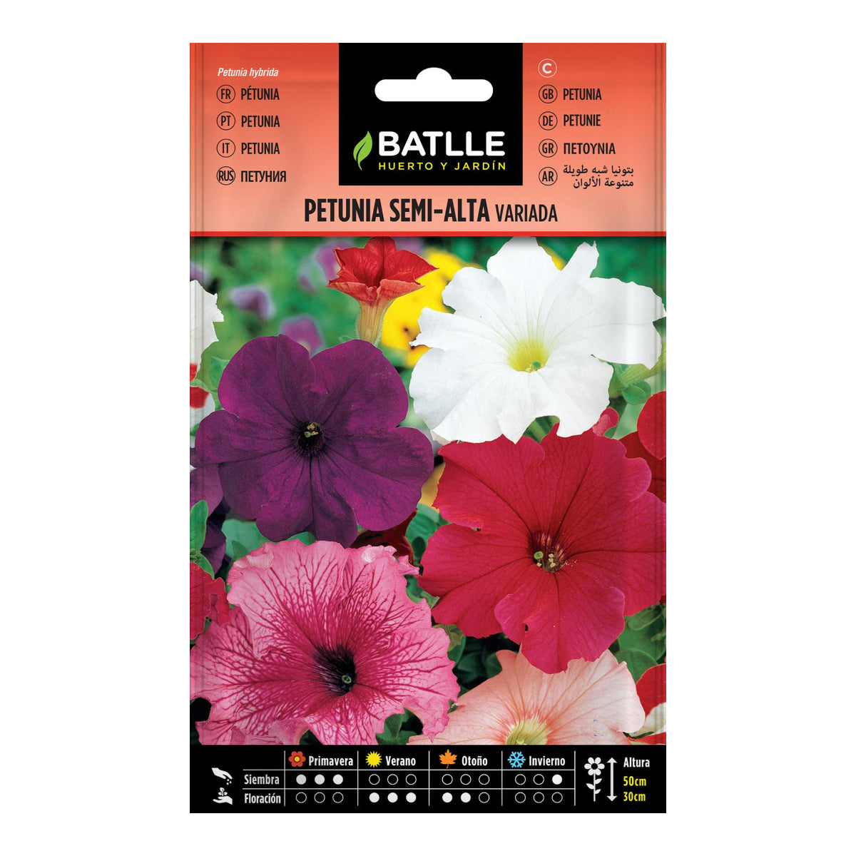 Petuniafrön, halvhöga, blandade, Batlle