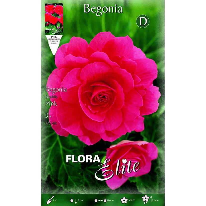 Bulbo Begonia doppio rosa 3 pz
