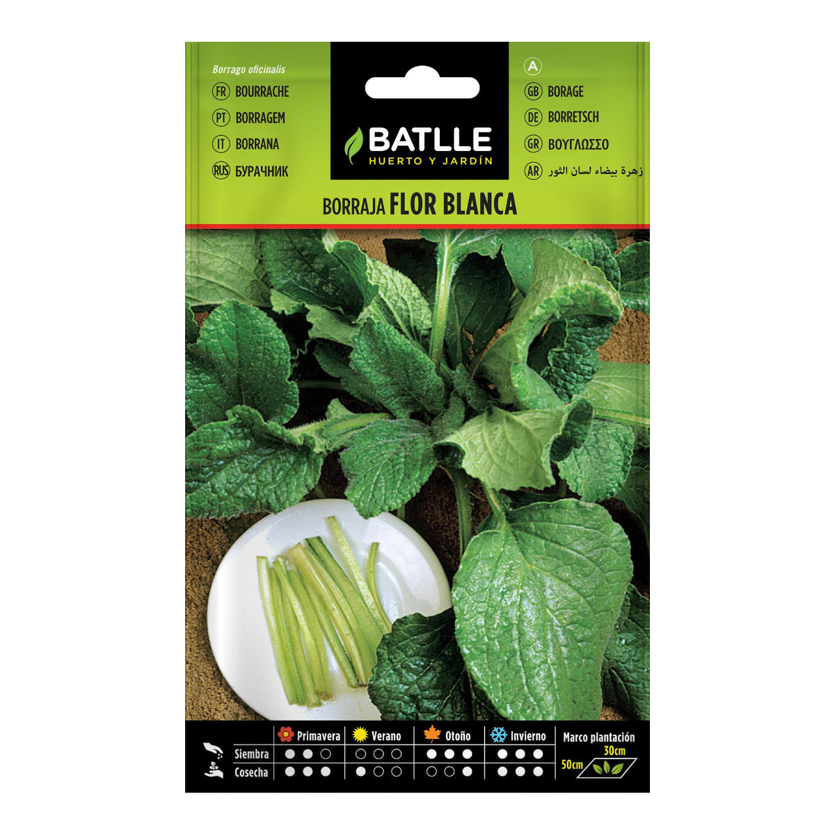 Batlle White Flower Borage Seeds