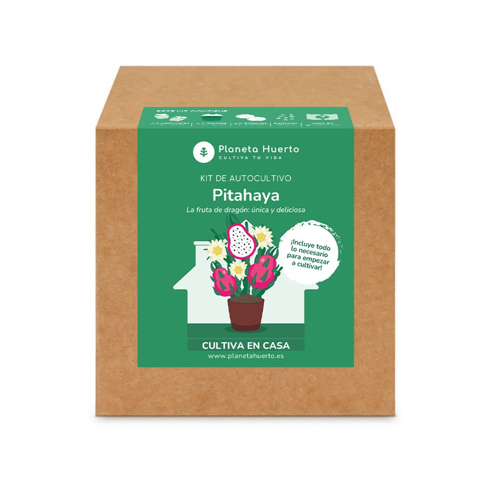 Drachenfrucht Pitahaya Bausatz für den Selbstanbau Planeta Huerto