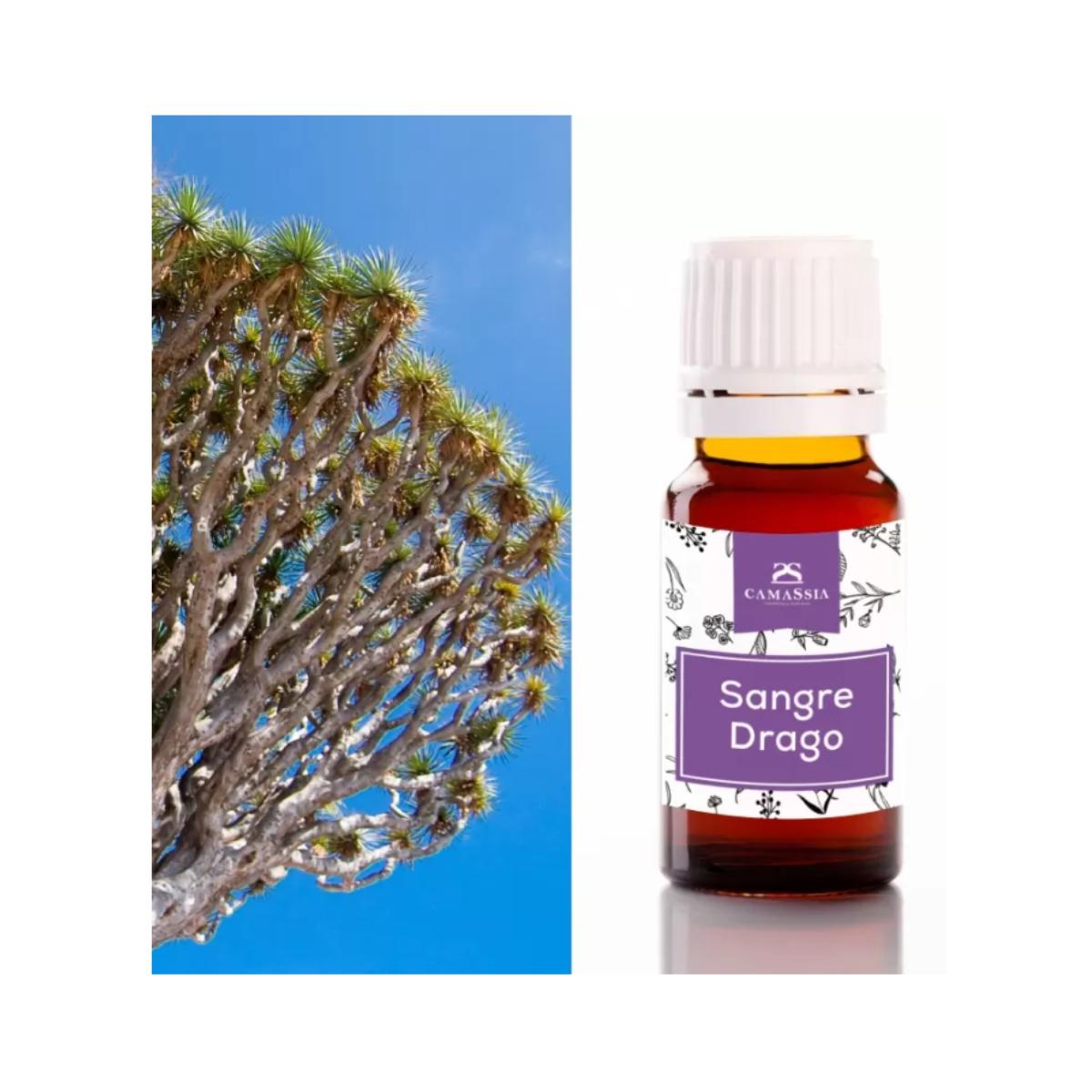 Dragon's Blood (Sangre de Grado). Camassia 10 ml