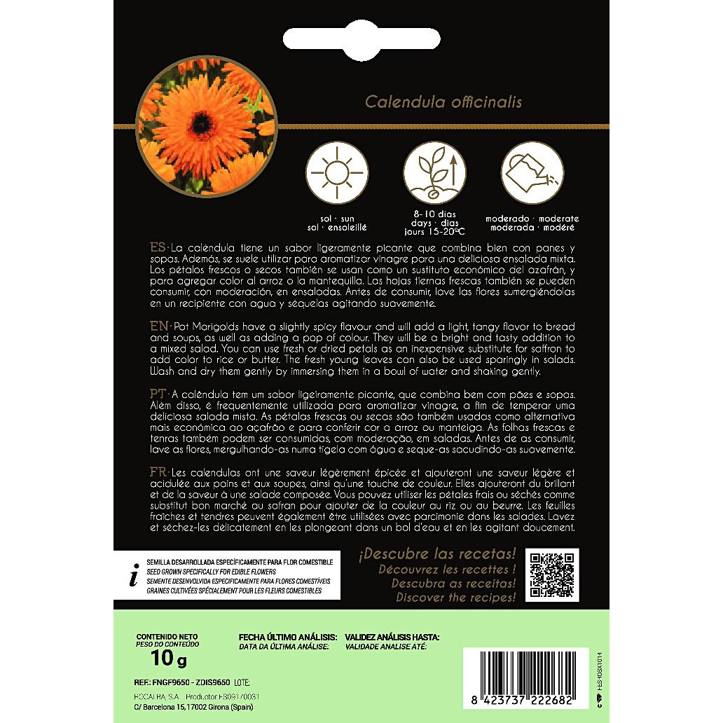 Nasiona jadalnych kwiatów nagietka Rocalba