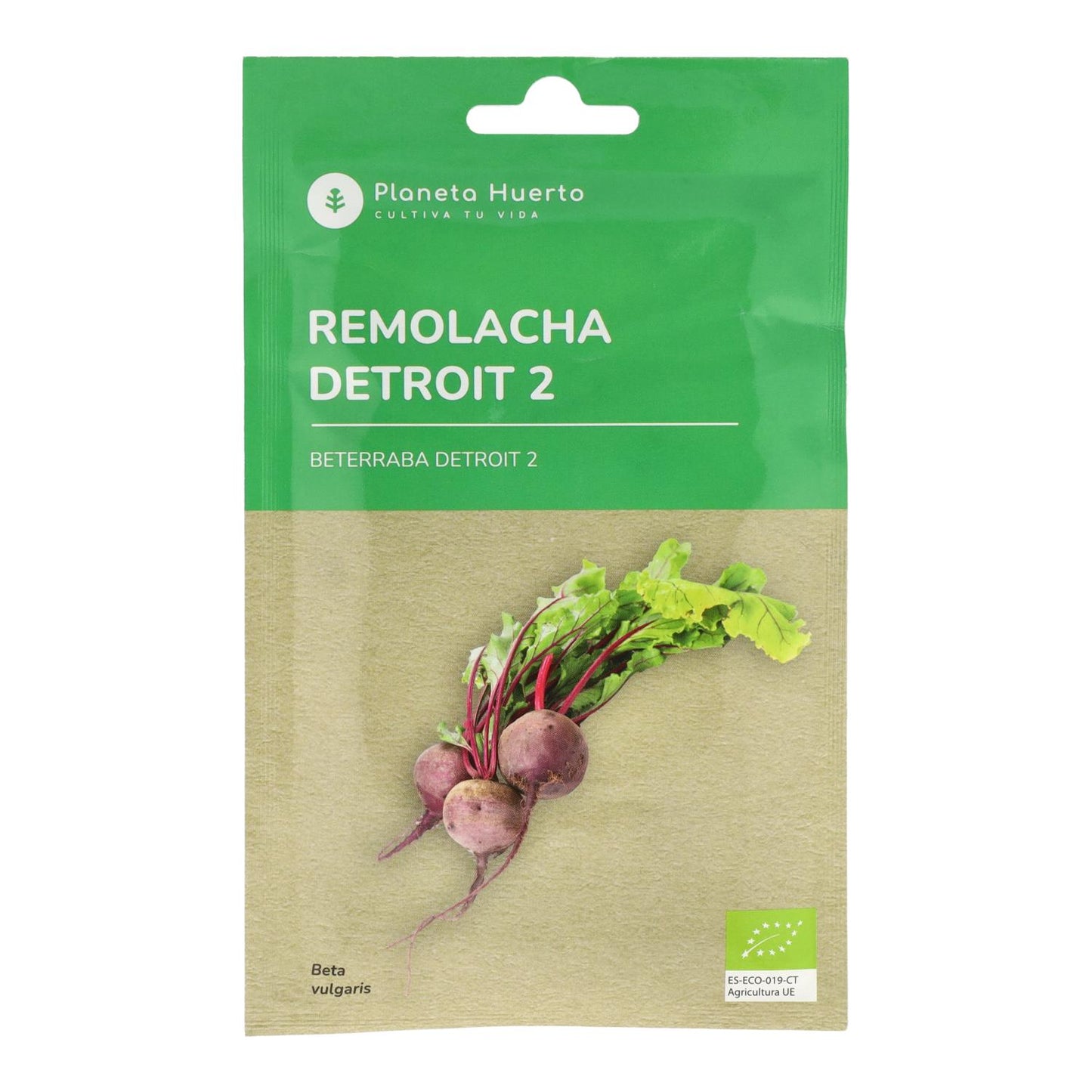 Bio Detroit Rote Bete Saatgut 2 Planet Vegetable Garden