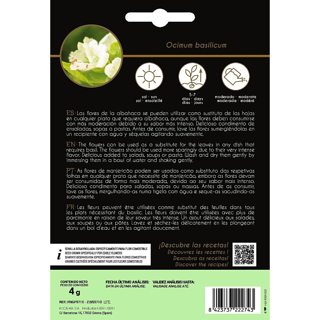 Semi di fiori commestibili di basilico Rocalba