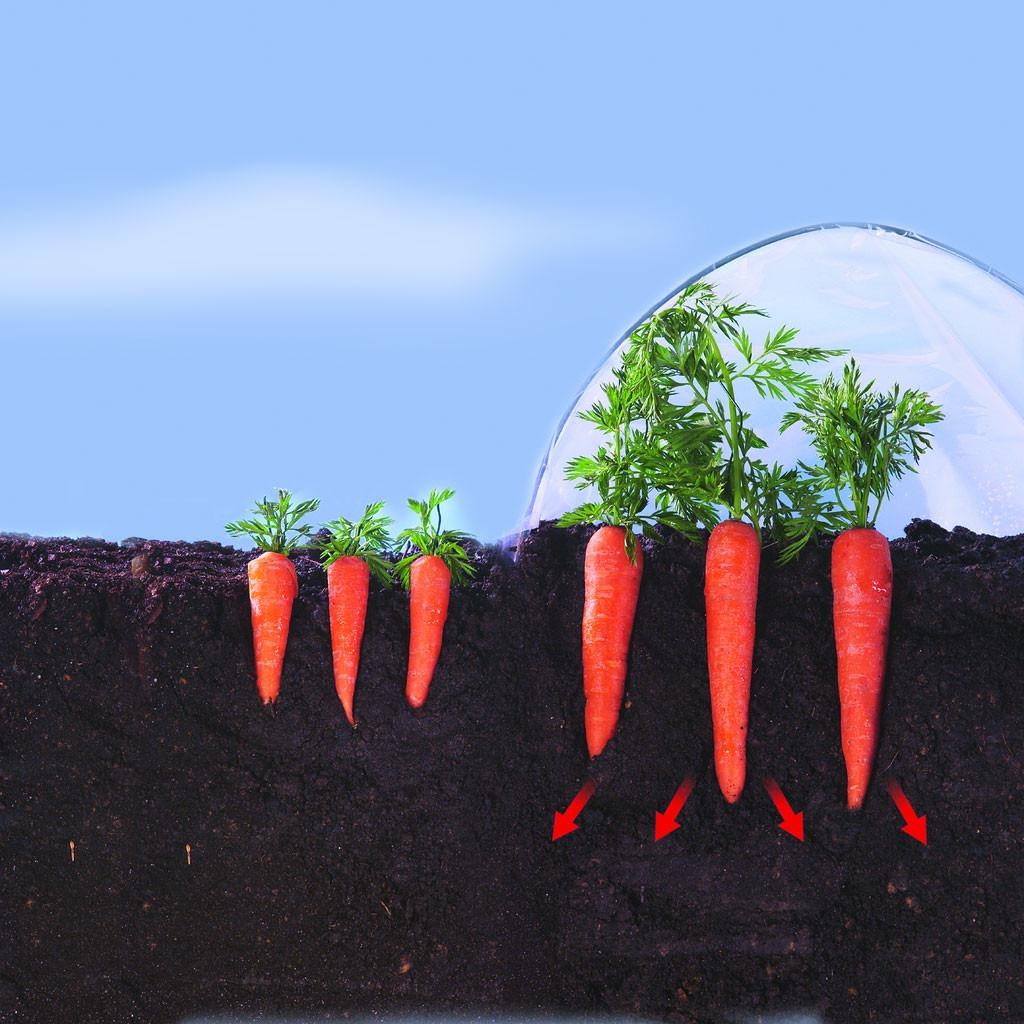 Frühgemüse-Anbaufolie Climafilm Nortene 2 x 10 m