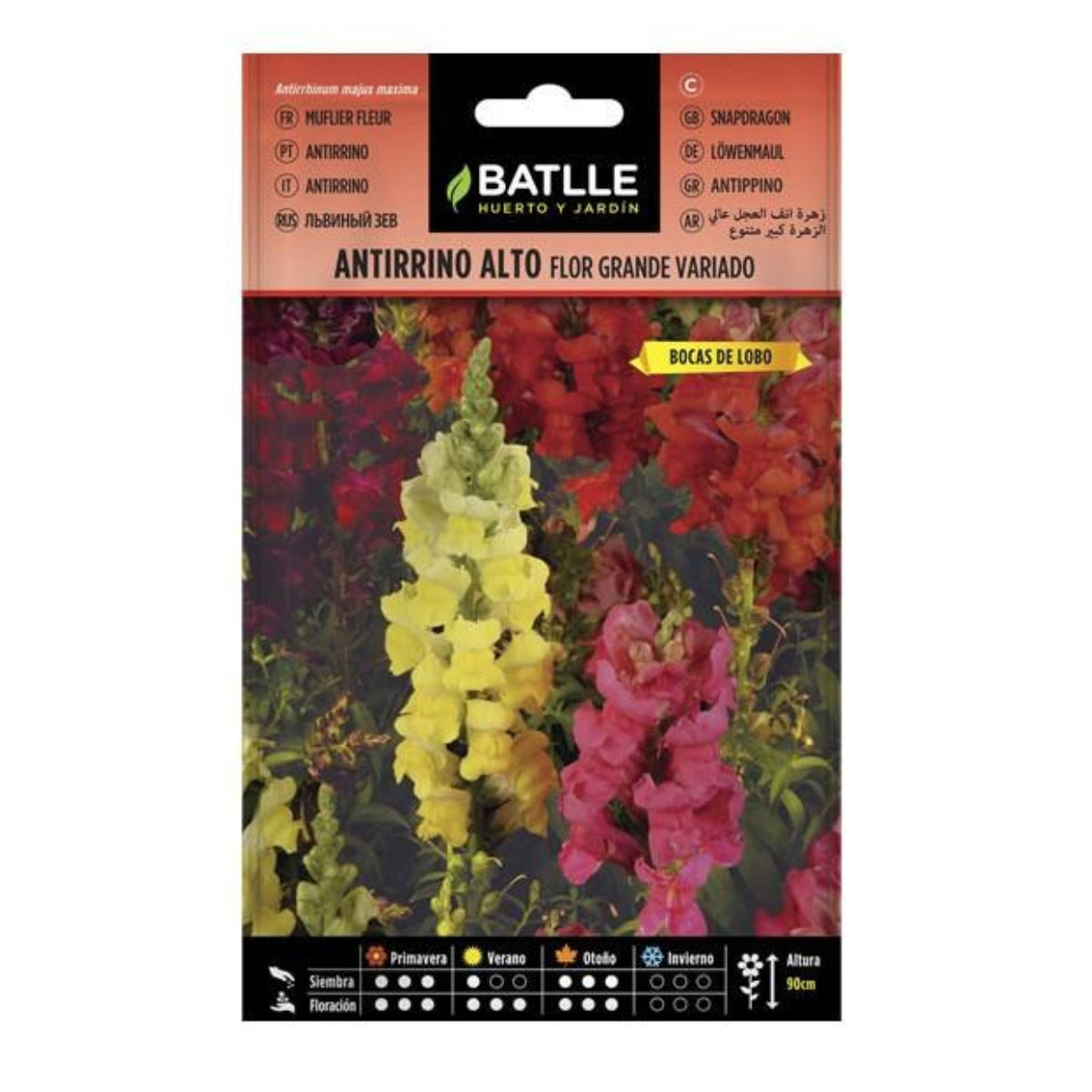 Semi di Antirrino alto a fiore grande Batlle