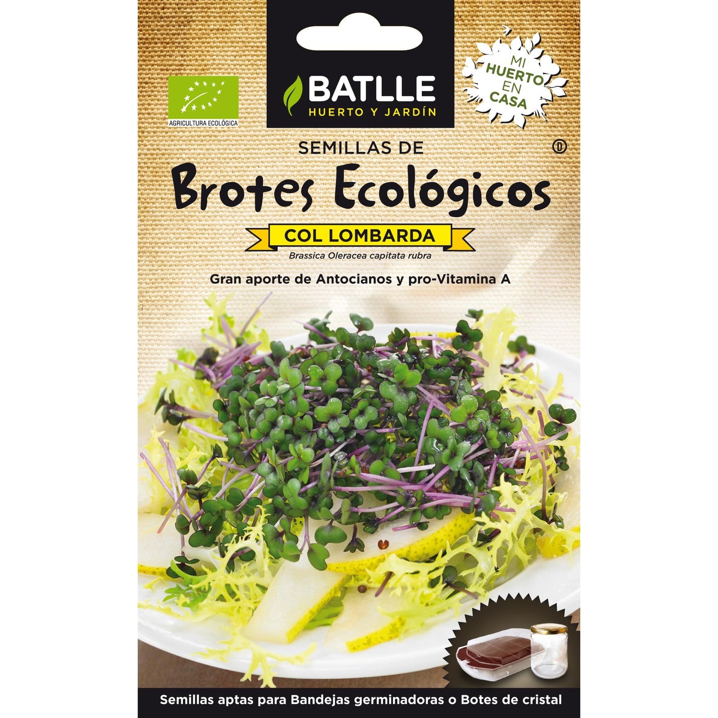 Semi di cavolo lombardo biologici per germogli Batlle