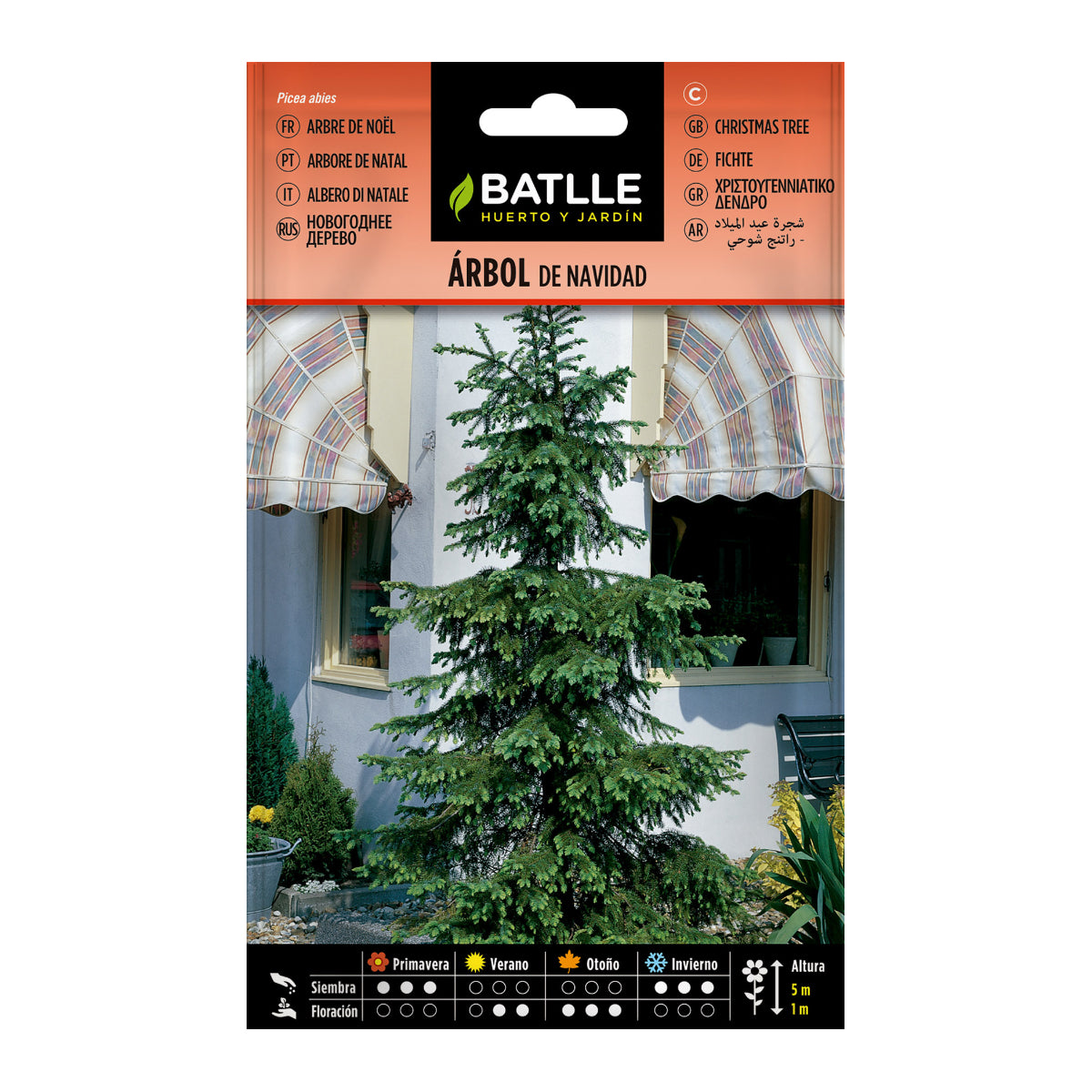 Zaden van de kerstboom Batlle