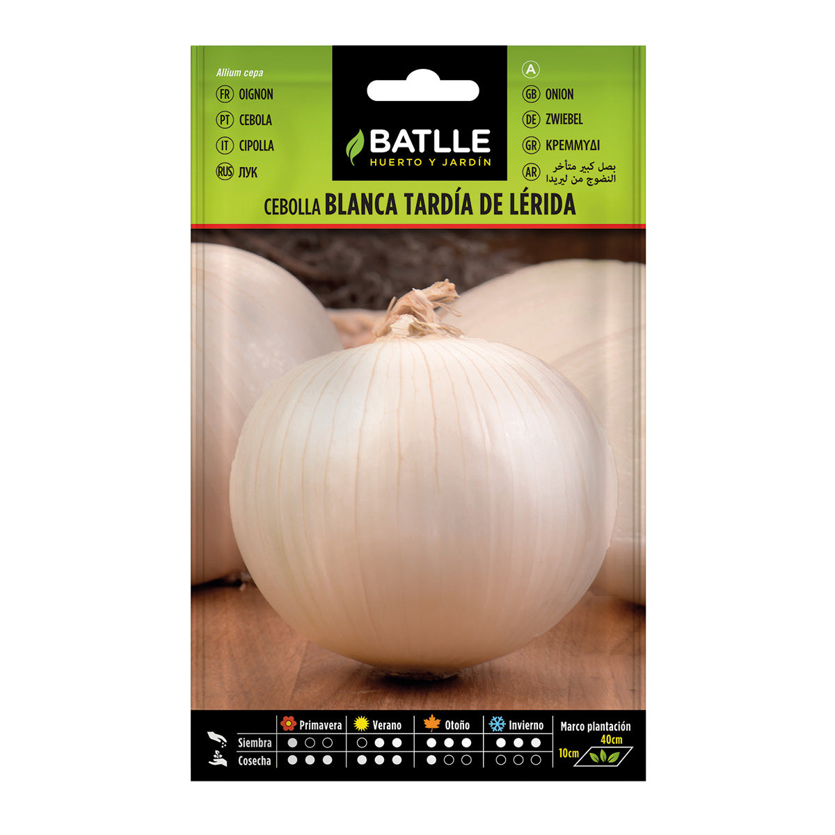Semi di cipolla tardiva grande di Lérida Batlle