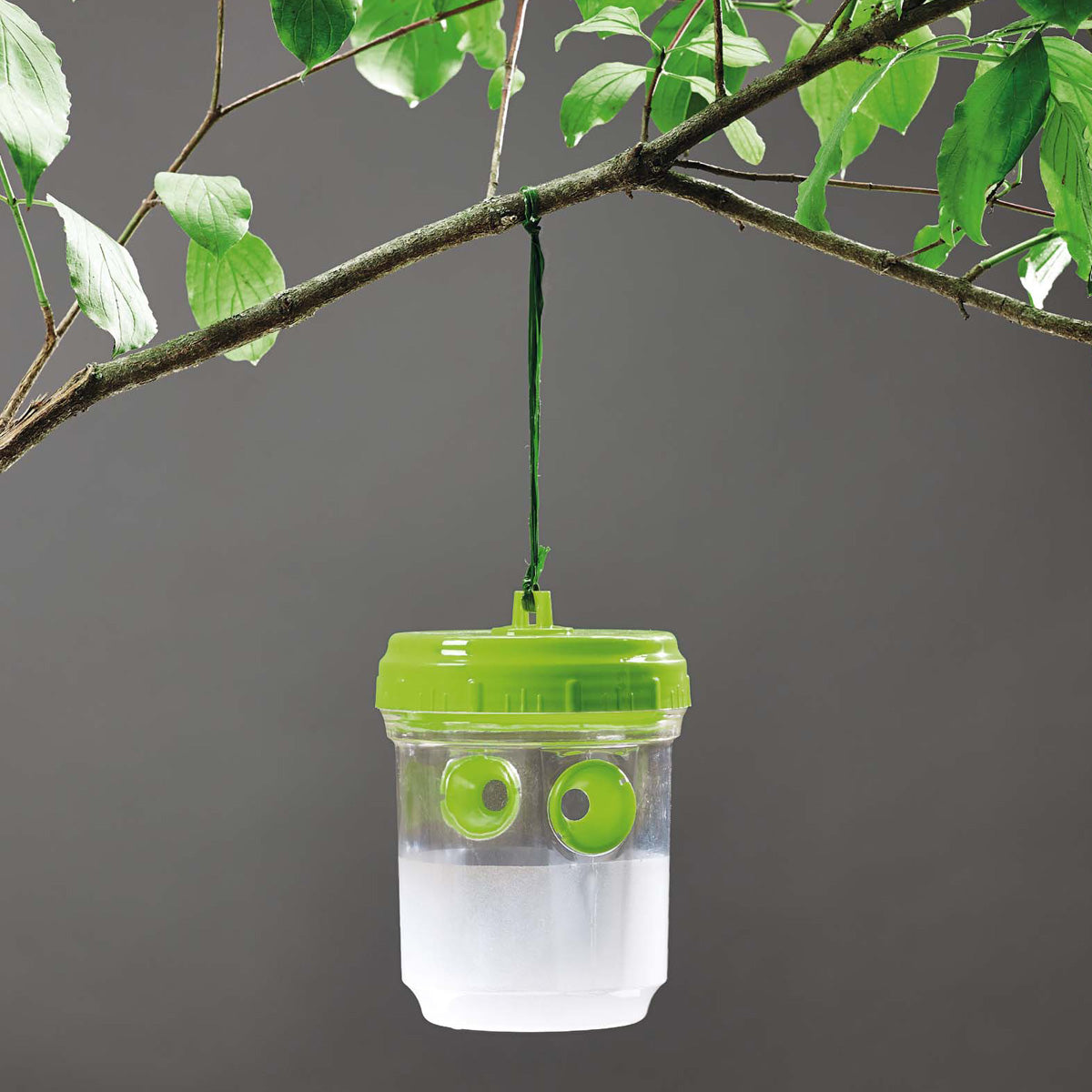 Pułapka na osy i muchy owocówki 2 szt. Verdemax