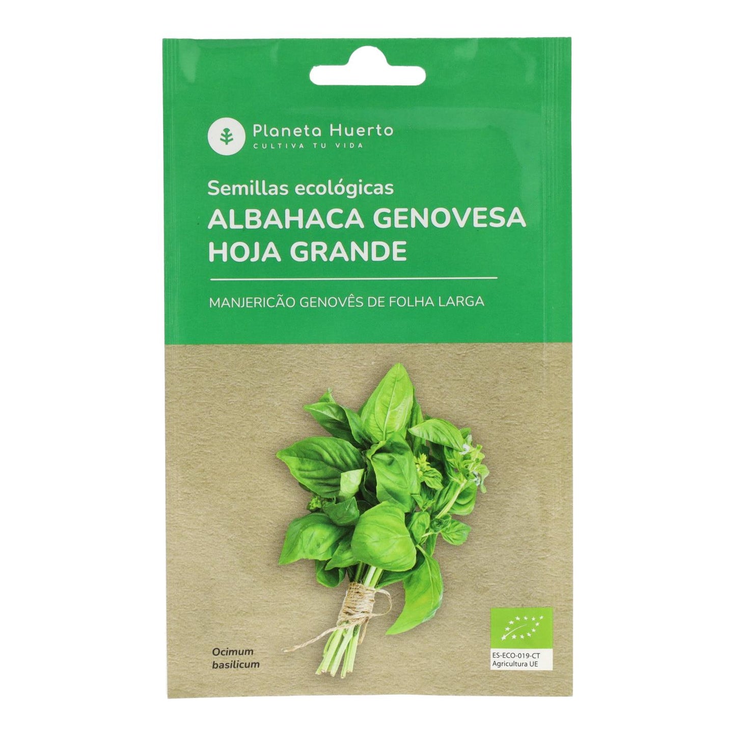 Bio-Samen von Basilikum Genovese Planeta Huerto