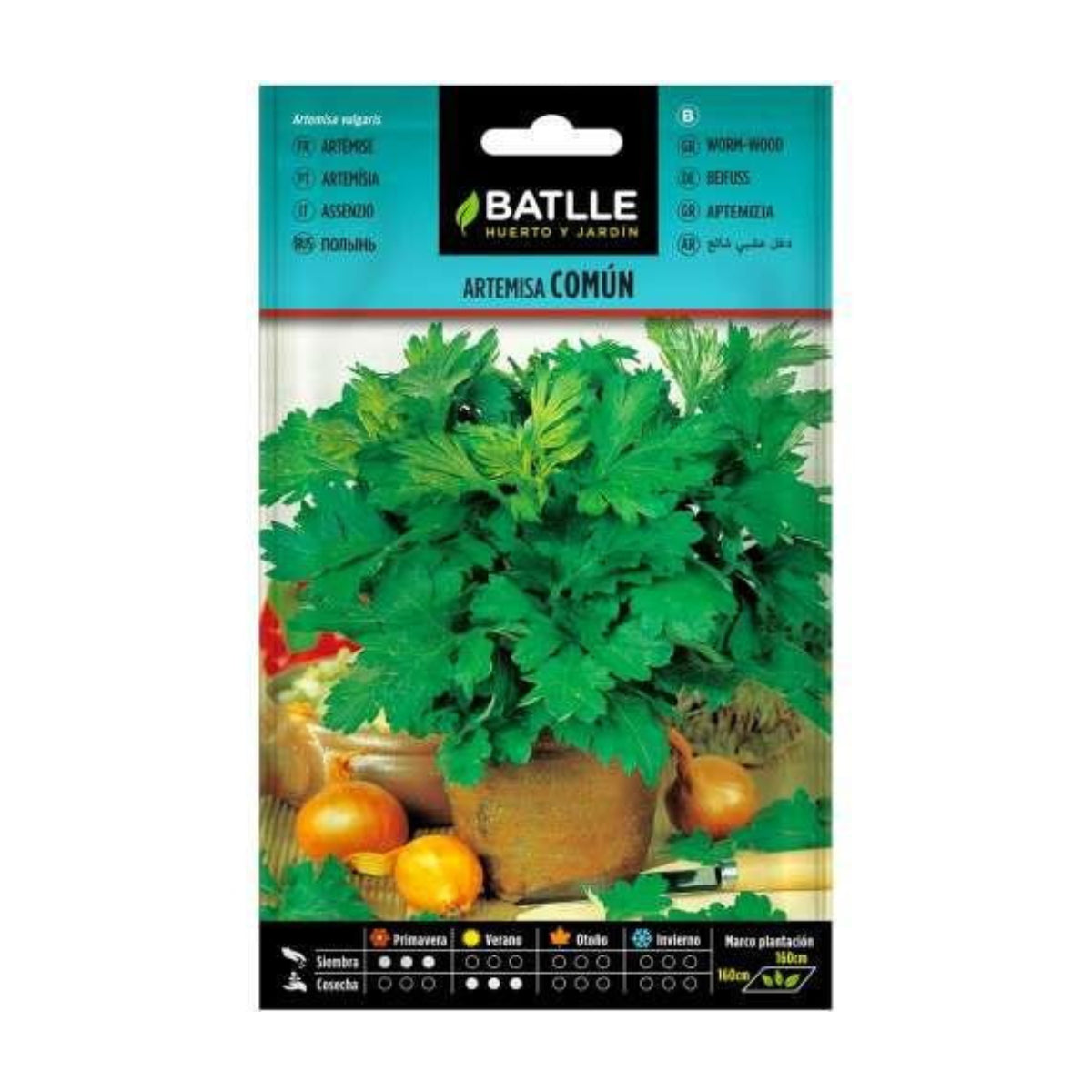 Common Mugwort Seeds Batlle