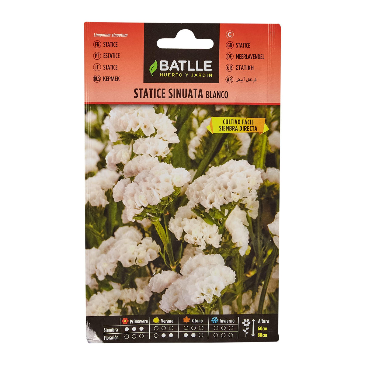 White Statice Seeds Batlle