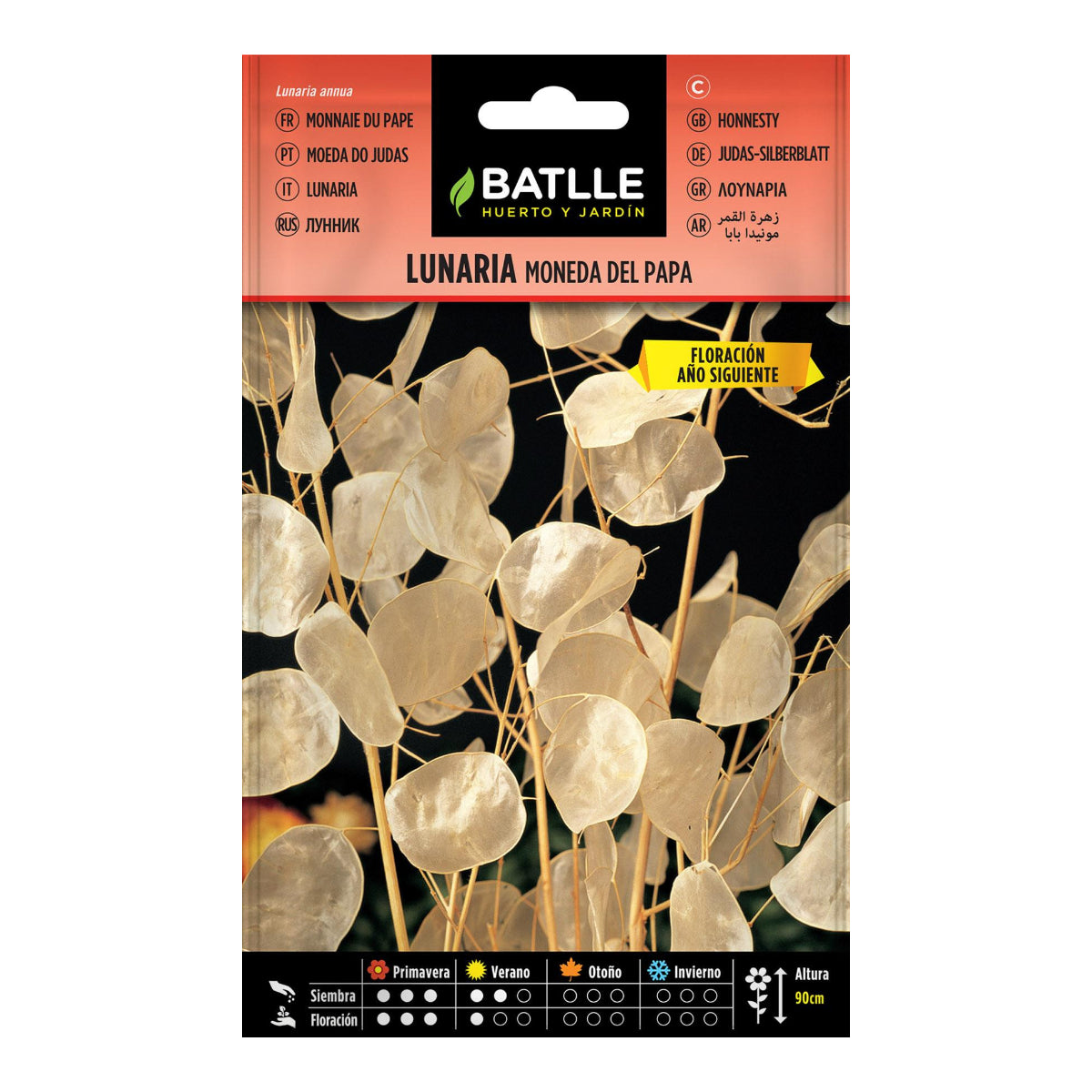 Lunaria-frön, Papa Batlle