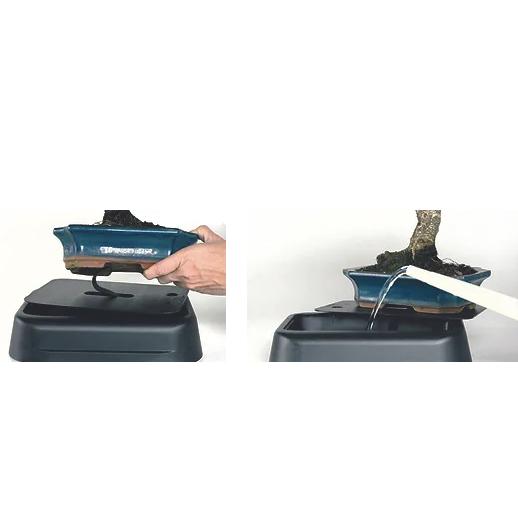 Hidrobonsai 25 cm self-watering system for bonsai trees