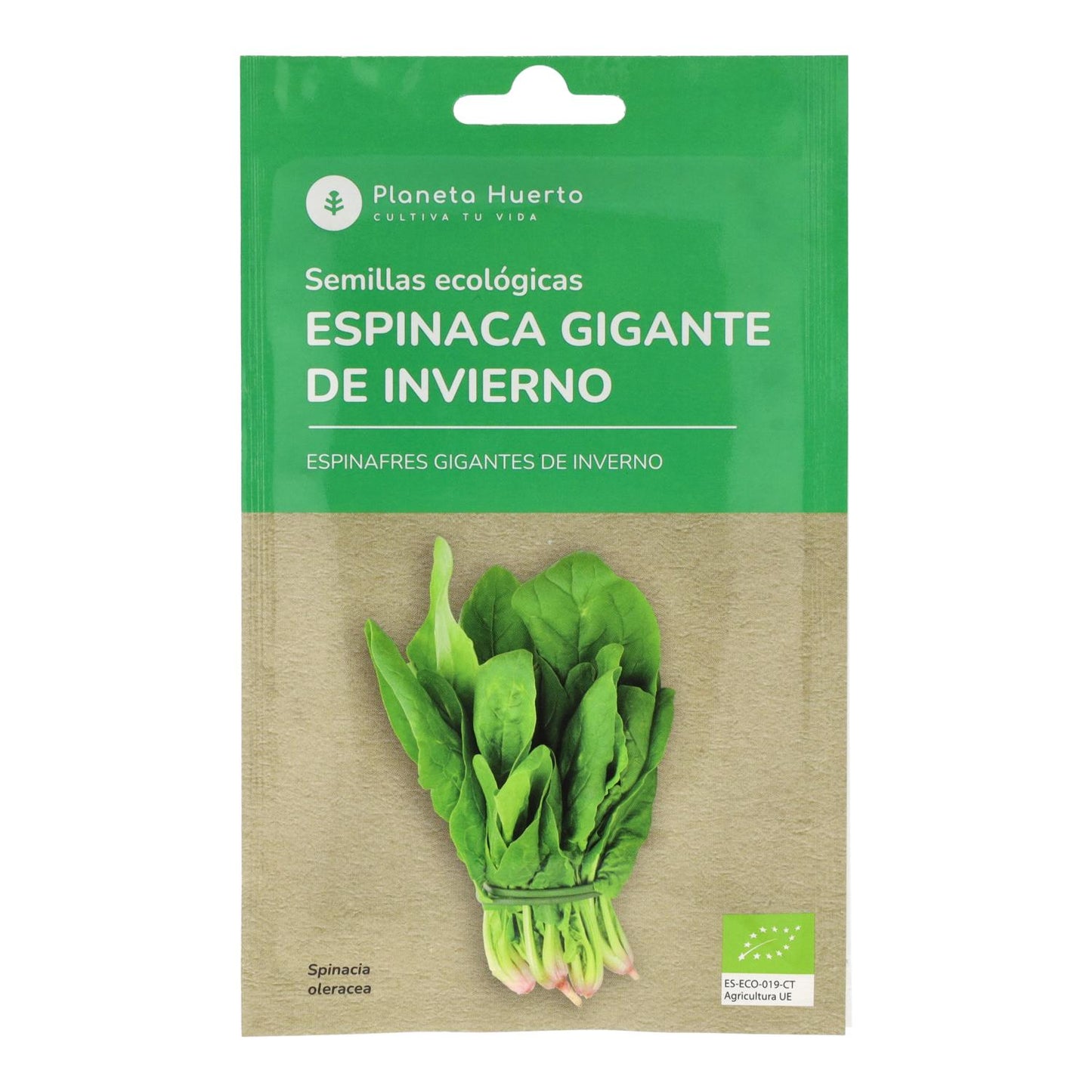 Bio-Riesenwinterspinat Samen Planeta Huerto