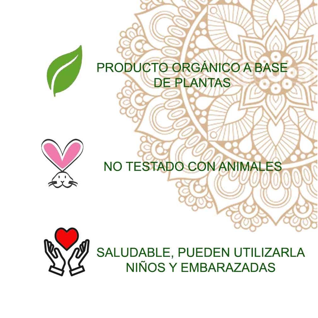 Tatouage au henné en poudre Radhe 50 g