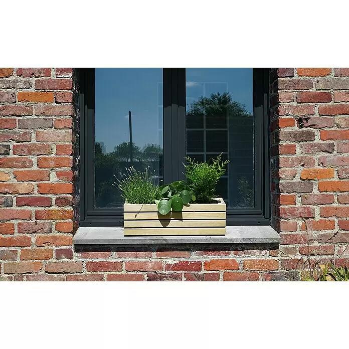 Horizon balkonplantenbak 60 cm