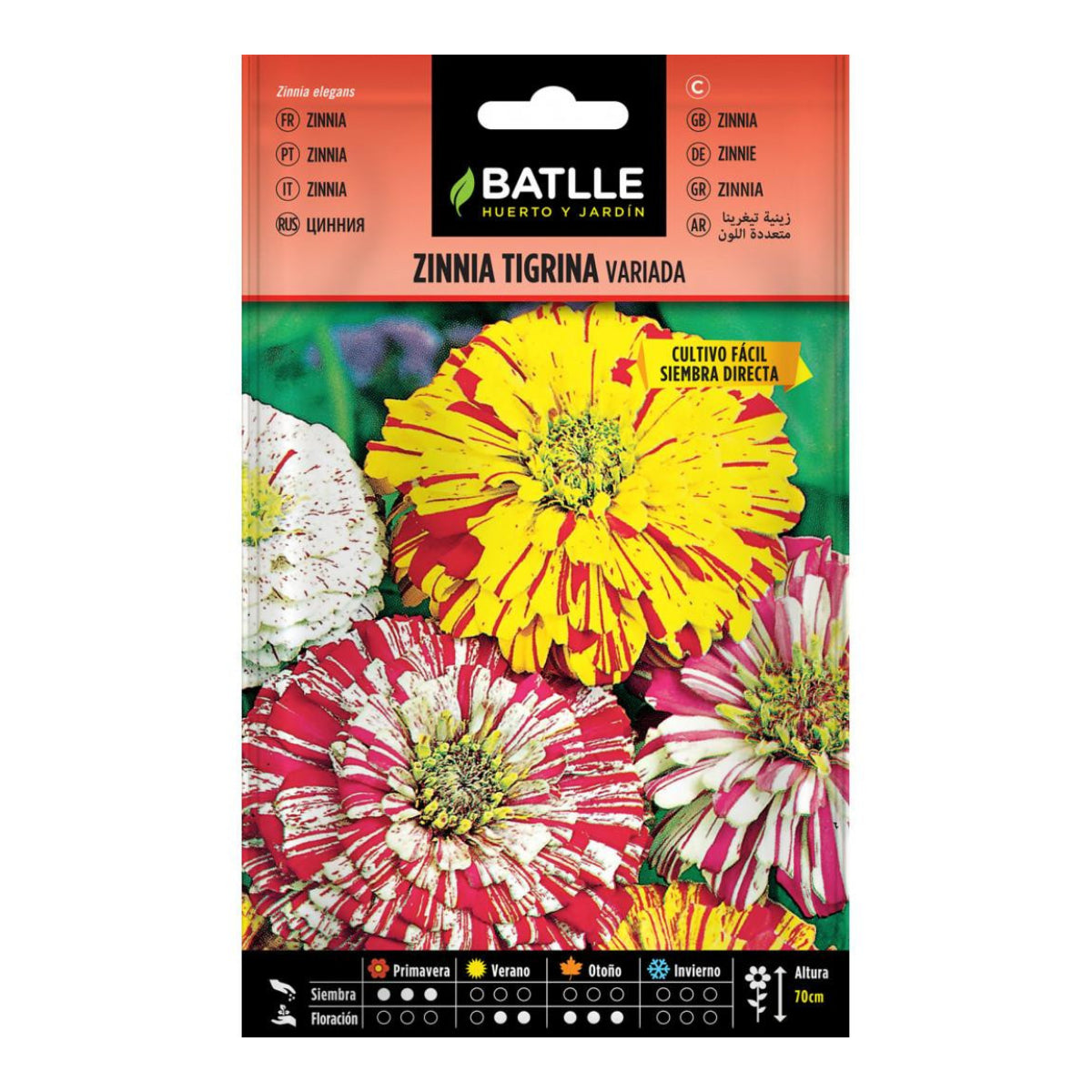 Blandade frön av Zinnia Tigrina, Batlle