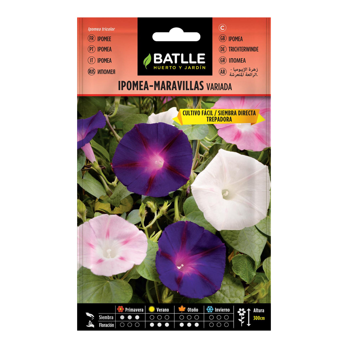 Blandade Ipomea-frön Batlle