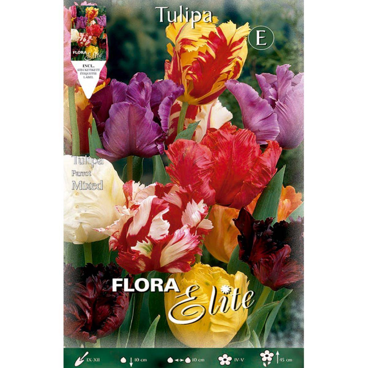 Tulpenbollen Papagayo mix 7 stuks