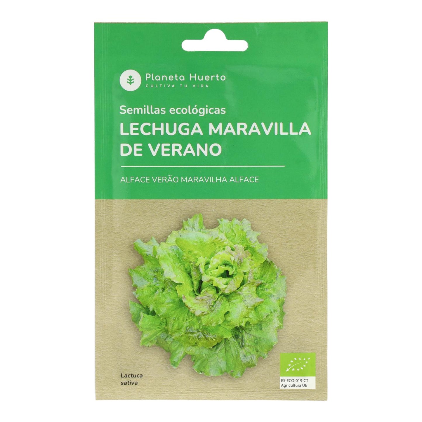 Bio-Saatgut des Sommer-Wundersalats Planeta Huerto