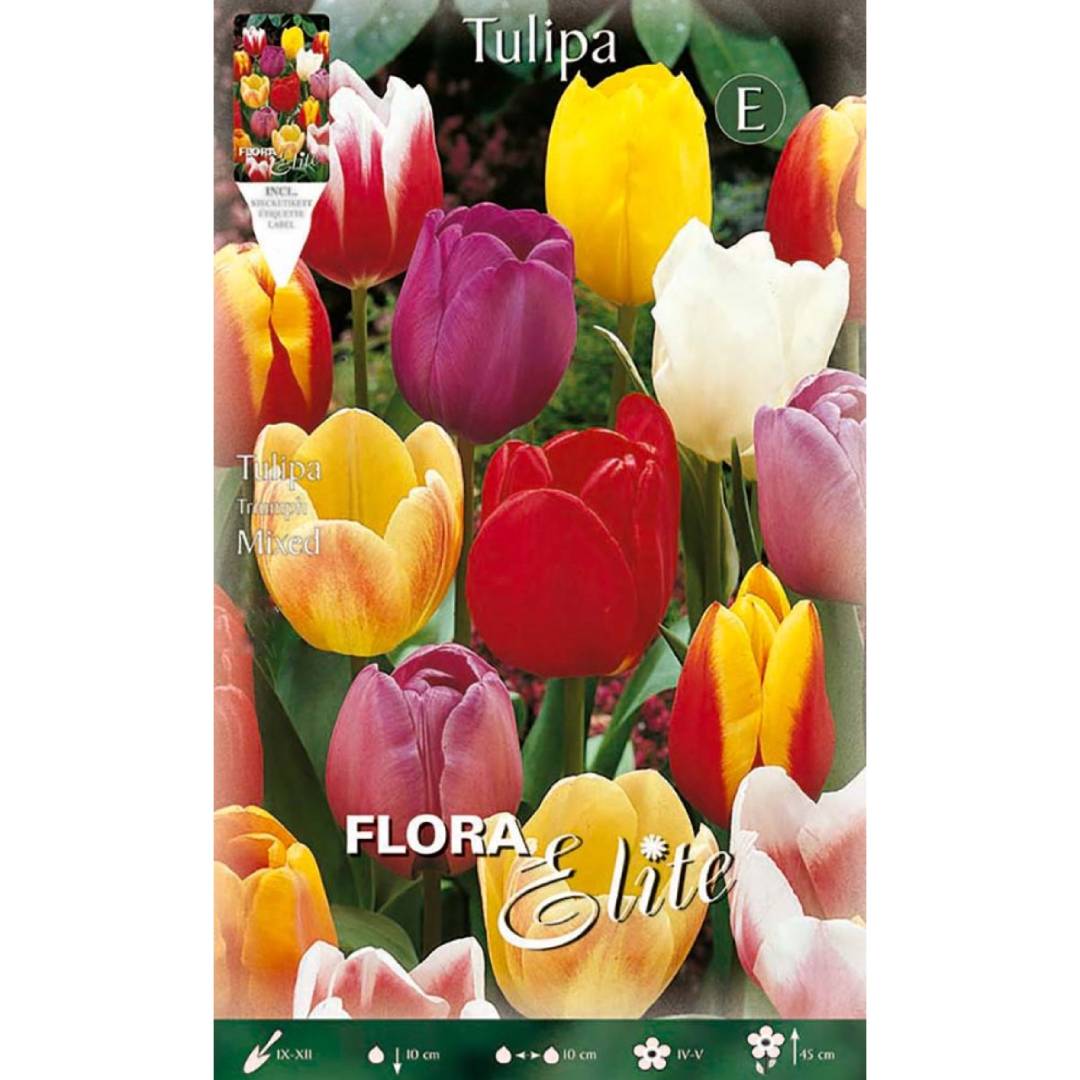 Bulbos Tulipán mezcla 7 uds