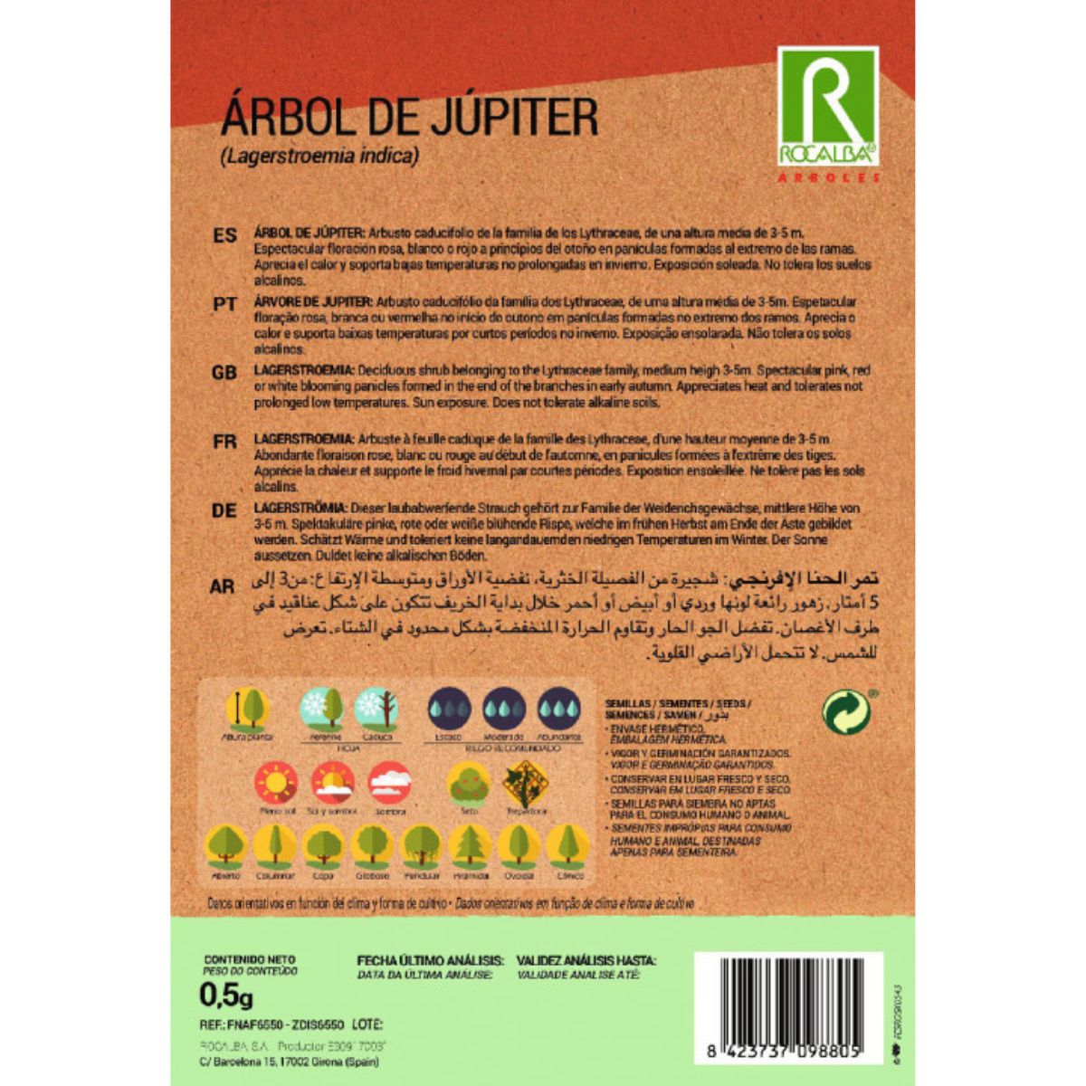 Samen des Jupiterbaums Lagerstroemia indica